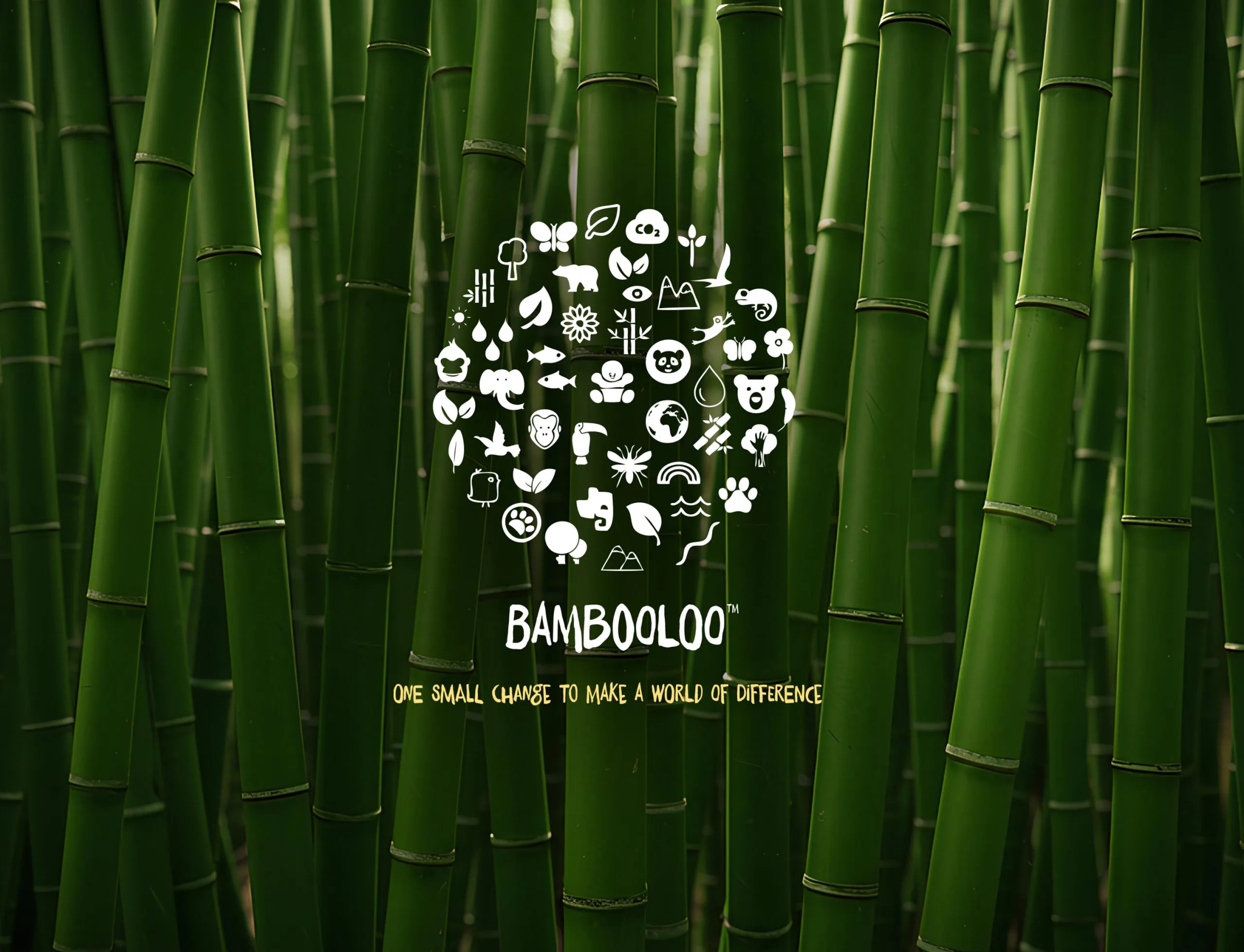 Bambooloo identity